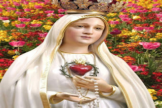 The Tale that no Scientist will believe, Thorn Trees bloom during Winter time, Feast Day of Our Lady of the Flowering Thron