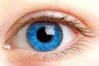 Eye Specialist Sylhet