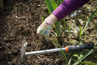 Gardening Tools