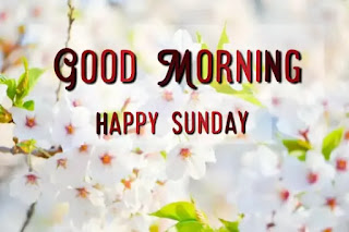 Good morning happy Sunday