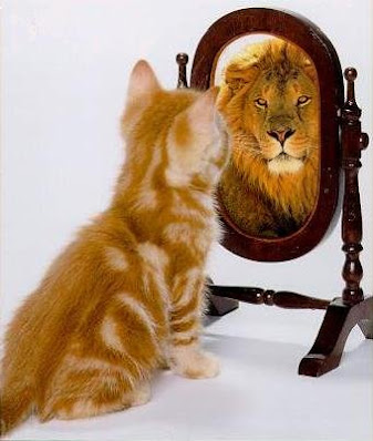 Kitten staring in the mirror and seeing a lion