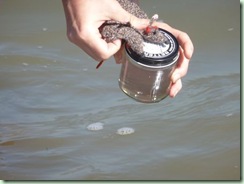 FlatRats Pacific4