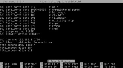 Proxy Debian Squeeze