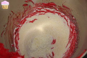 macaron-blanc-oeuf-en-poudre-deshydrate