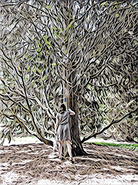 Vrouw voor boom, Gimbonmr Arboretum, Doorn