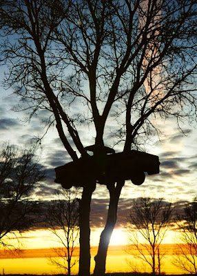 Truck In The Tree Seen On coolpicturesgallery.blogspot.com Or www.CoolPictureGallery.com