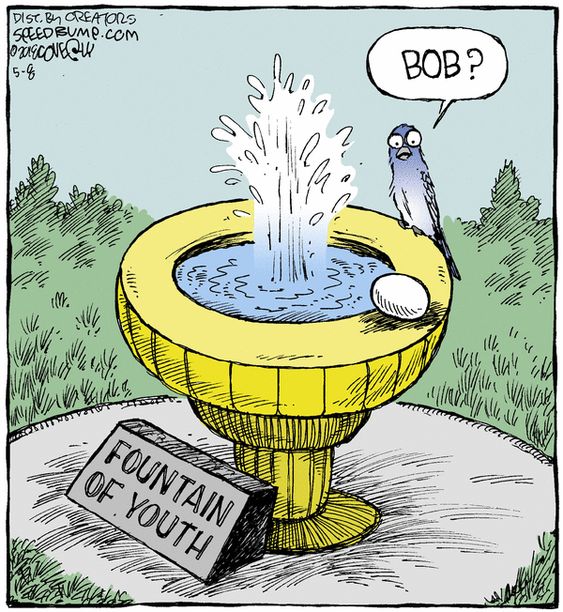 Humor Side Comics