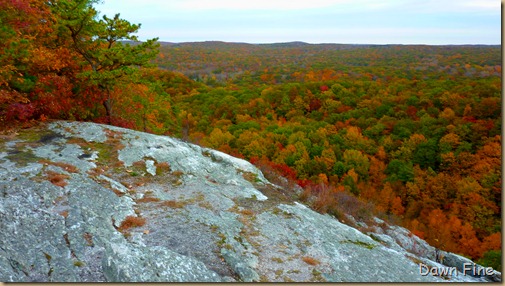 Lantern Hill_055