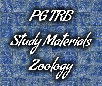 PGTRB Zoology Study Materials Download