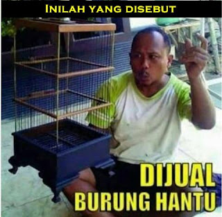 Oh, baru tahu ini yang disebut 'burung hantu'.