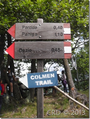 SDC15343