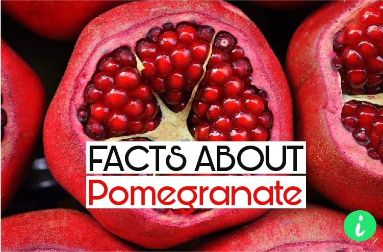 Pomegranates Facts