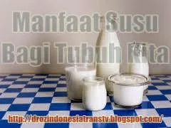 manfaat susu bagi kulit, susu kambing, susu sapi