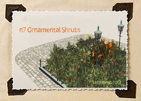 Ornamental Shrubs (n7) lassoares-rct3