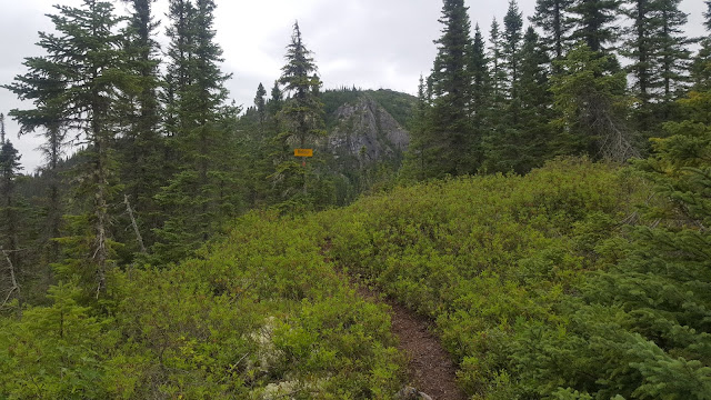 Sentier de retour en provenance du sommet Eudore-Fortin.