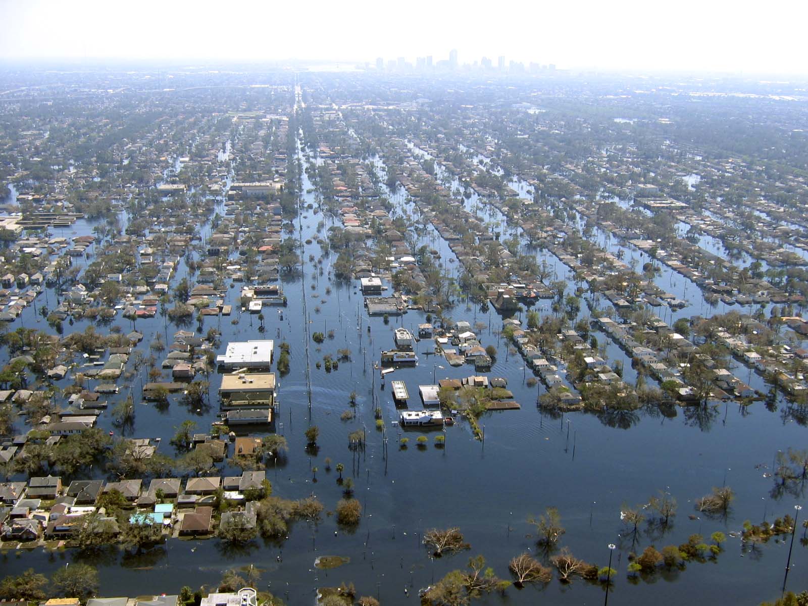 hurricane irene