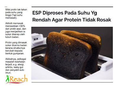 Apakah Perbezaan ESP Shaklee Berbanding Produk Soya Lain Di Pasaran?