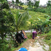 Kecelakaan di Tanjakan Rahong, Mobil Terperosok ke Sawah