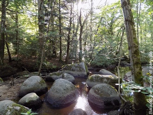 La rivière de rochers