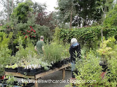 Citrus Nursery on Sauvie Island, Oregon