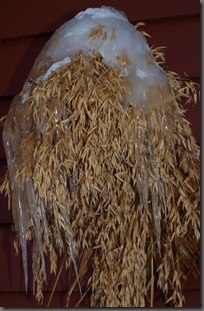 P1258804