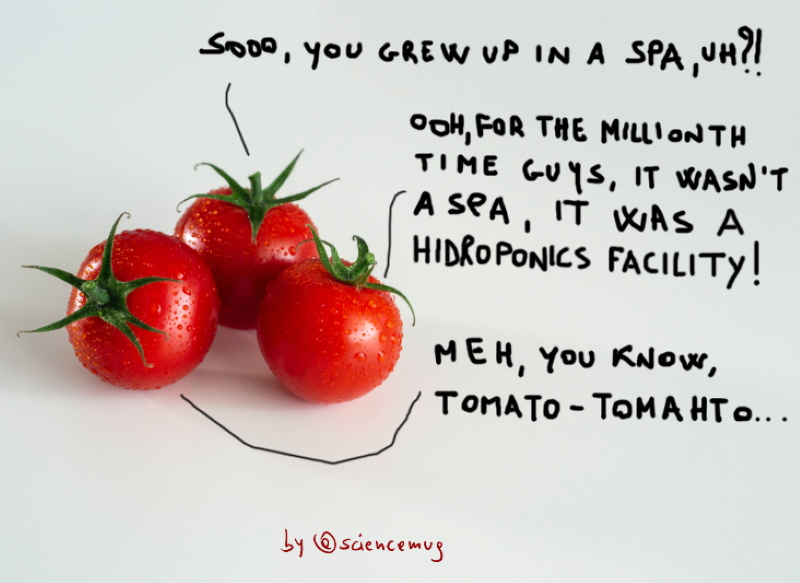 Three tomatoes chatting