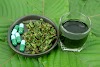 FIND YOUR FAVORITE STRAIN OF KRATOM