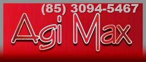 logo agimax