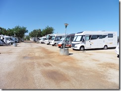 P1000914