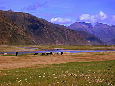 The mysterious Denisovans traveled quite a bit, all the way into Tibet where a fossil and DNA evidence has been found. We can examine the post-Babel timeline and see where they fit.