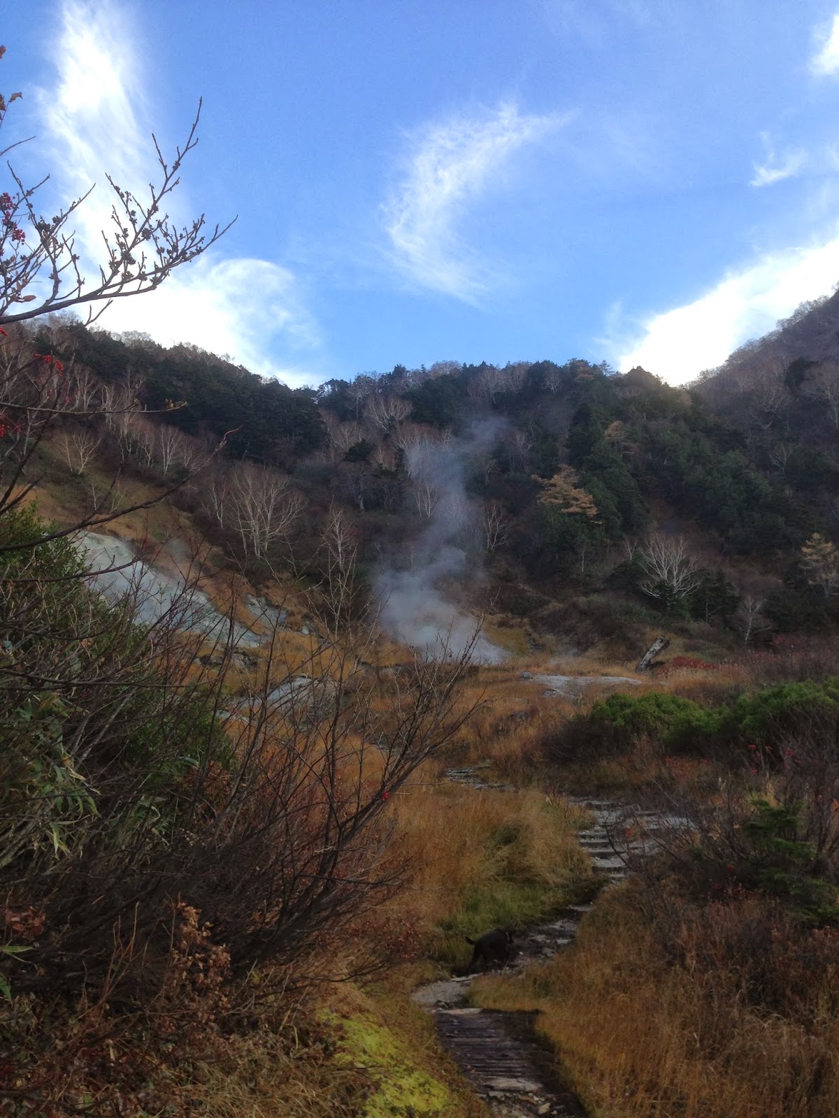 Best Japanese Hot Spring, Renge Onsen (蓮華温泉) | Onsen (Hot ...