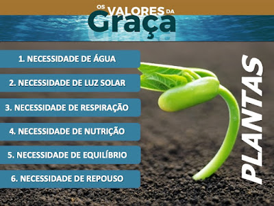 leis que regem as plantas
