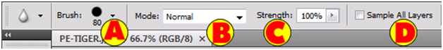 Blur Options Bar