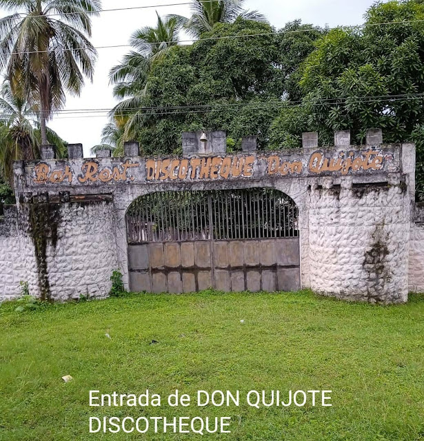 COLUMNA PERSONAJES Y VIVENCIA DE MI PUEBLO: Discotecas y Minitecas de San Fernando y Biruaca por Vladimir Hidalgo Loggiodice.