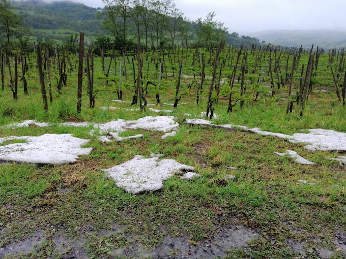 Copagri: maltempo, da maggio anomalo danni e disagi