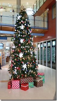 20151222_Sunnybrook 20151222_Sunnybrook