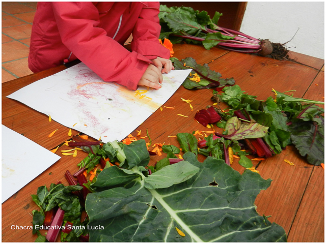 Coloreando con vegetales - Chacra Educativa Santa Lucía