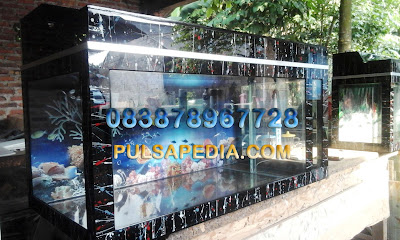 Distributor Aquarium dan Soliter Cupang Murah