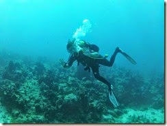IMG_0878
