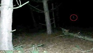 Berita Misteri - Misteri Hantu Anak 'Black Eyed'