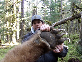 Garra gigante de un oso Grizzly