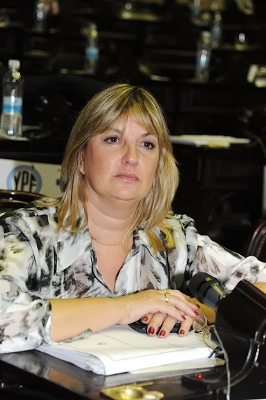 Patricia De Ferrari afirma que: “El gobierno sigue sin llamar a las cosas por su nombre”