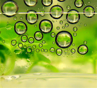Biofuel photo by Steve Jurvetson