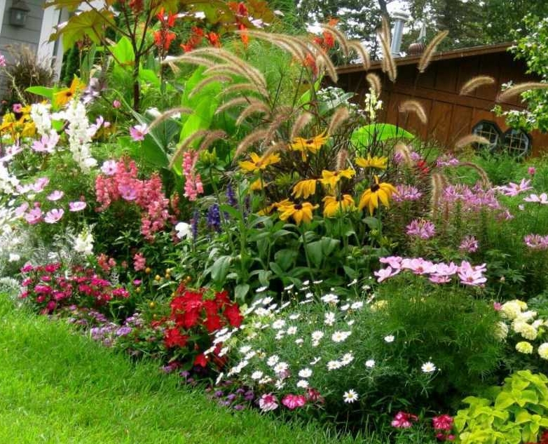 cara menanam bunga  taman  rumah  agar terlihat indah