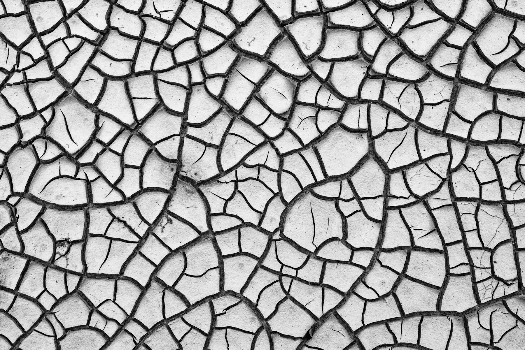 Black and White Photo of Dried Cracked Mud