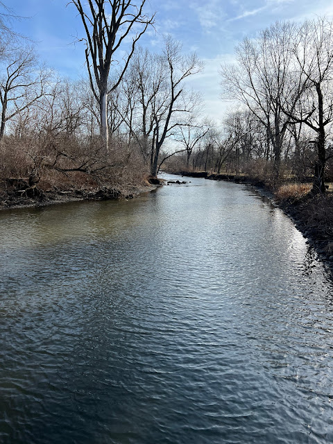 The West Branch DuPage River meandered around a curve on a Sunday afternoon.