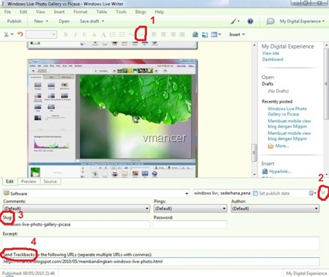 slug-windows live writer-blog editor-wordpress-vmancer