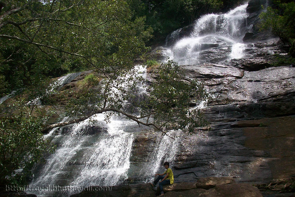 Killiyur Falls - Places to visit in Yercaud
