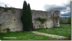 vestiges château-fort de Challeau