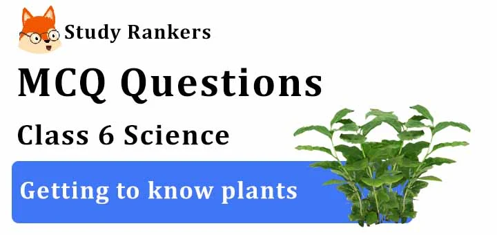 MCQ Questions for Class 6 Science: Ch 7 Getting to know plants